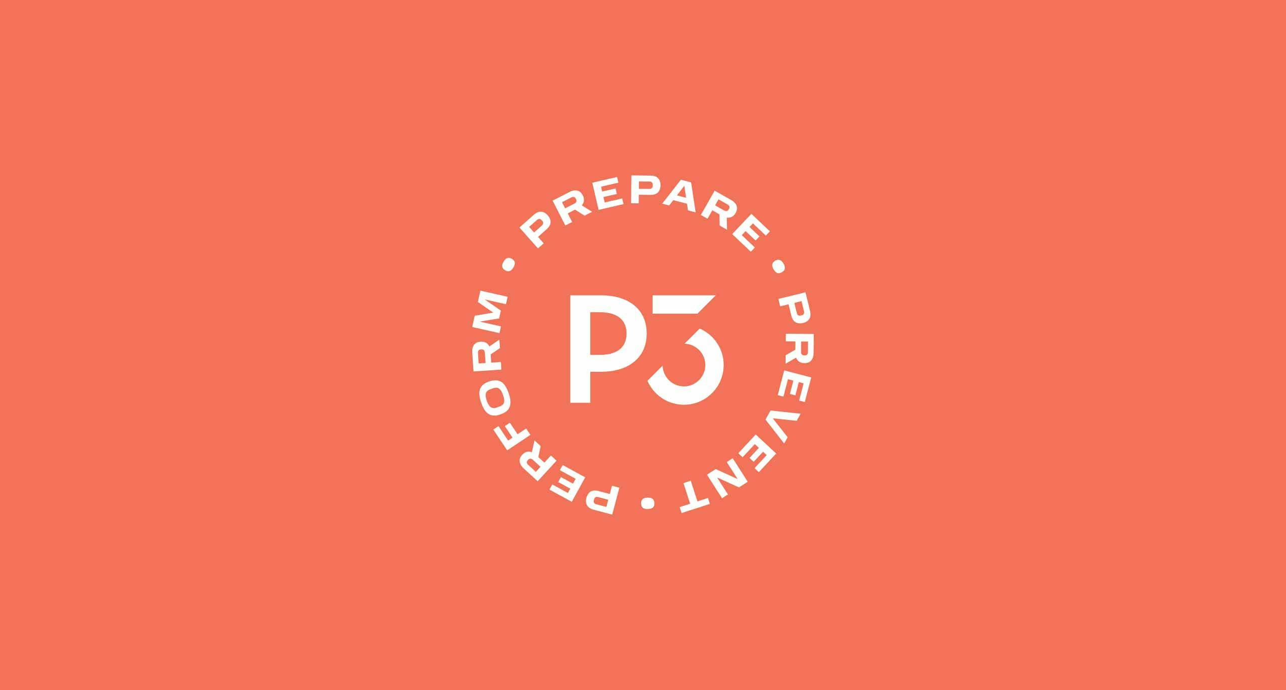 P3 Performance Logo
